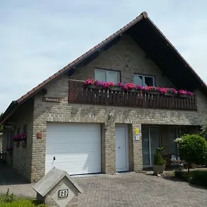 Pimpernel , Bredene België